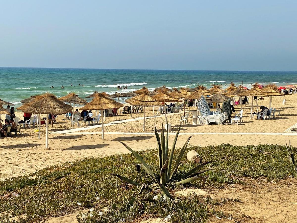 האממט Roof Top Pied Dans L'Eau Panoramic View, 80 Meters From Seaside מראה חיצוני תמונה